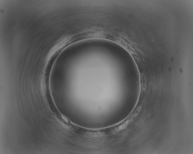 X0000051250245200506241554