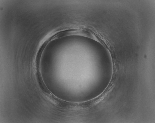 X0000051250246200506241554