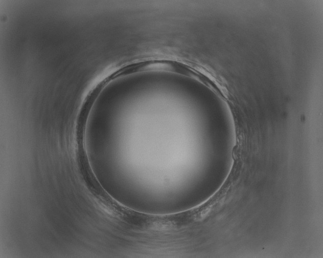 X0000051250248200506241554