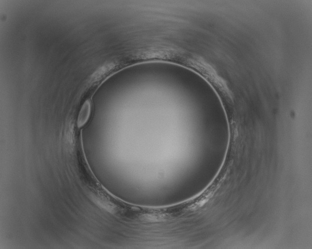 X0000051250250200506241554