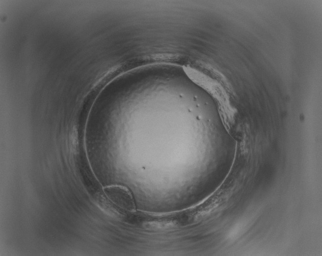 X0000051250251200506241554