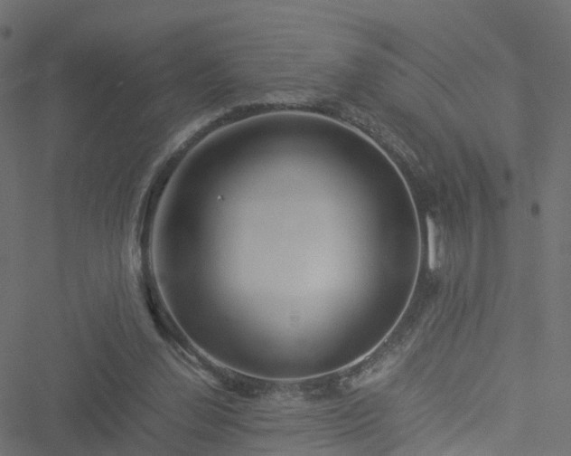 X0000051250252200506241554