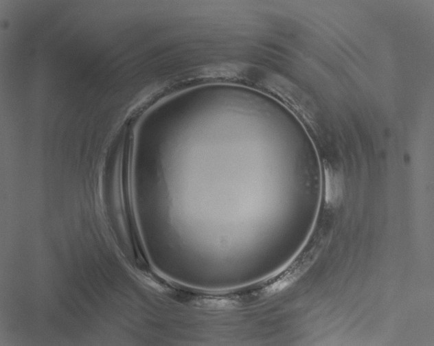 X0000051250253200506241554