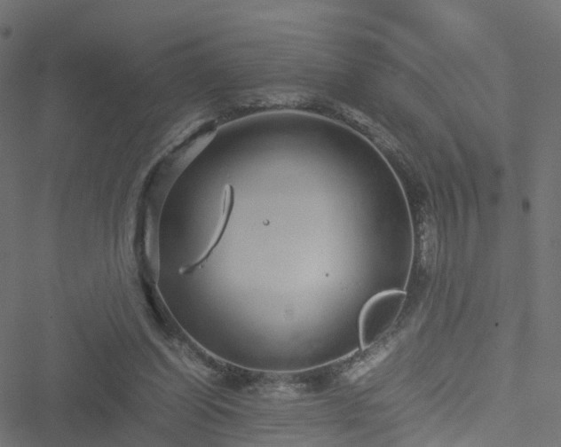 X0000051250254200506241554