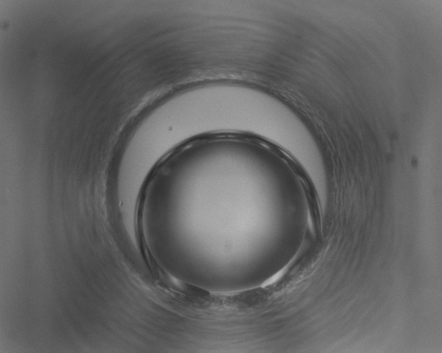 X0000051250256200506241554