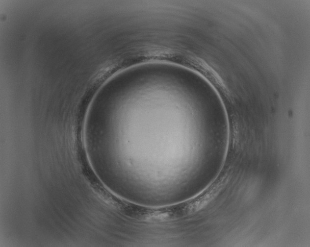 X0000051250257200506241554