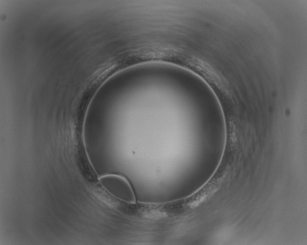 X0000051250258200506241554