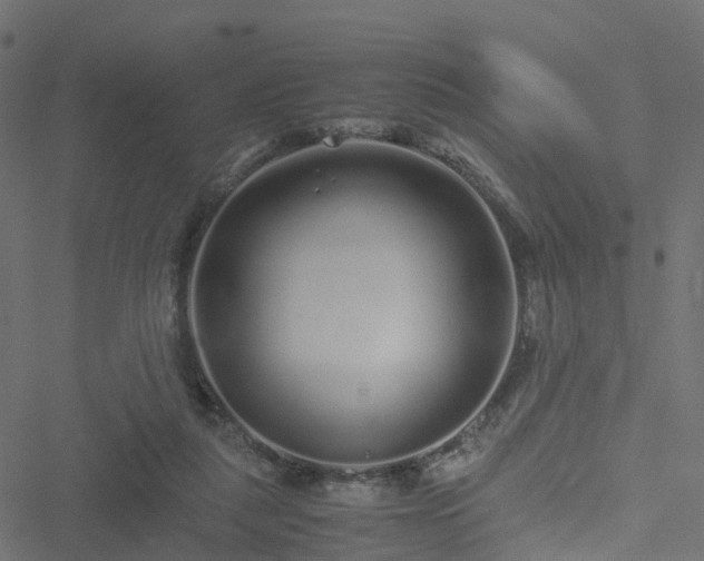 X0000051250259200506241554