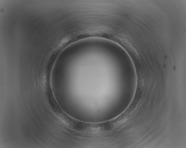 X0000051250260200506241554