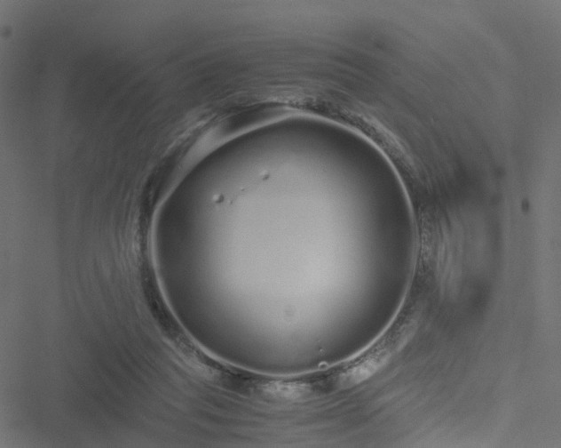 X0000051250261200506241554