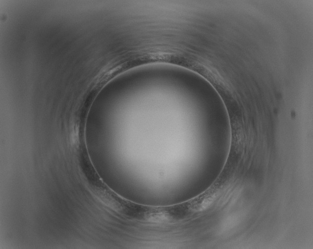 X0000051250262200506241554