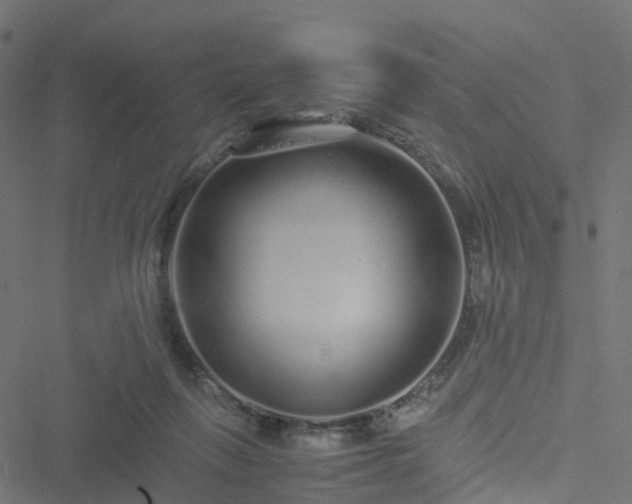 X0000051250263200506241554