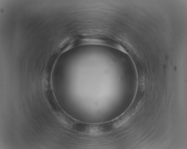 X0000051250264200506241554