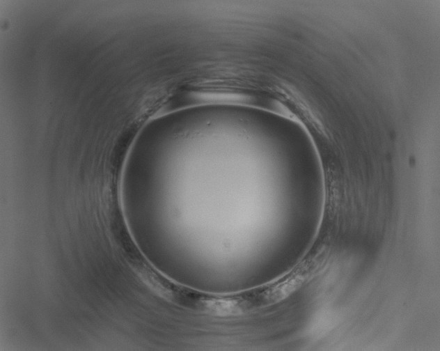 X0000051250265200506241554