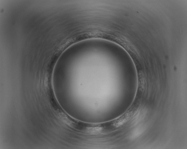 X0000051250266200506241554