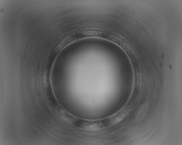 X0000051250267200506241554