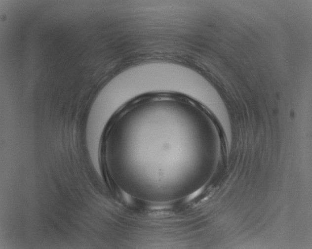 X0000051250268200506241554