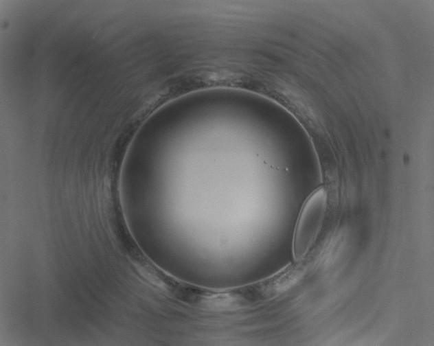 X0000051250269200506241554