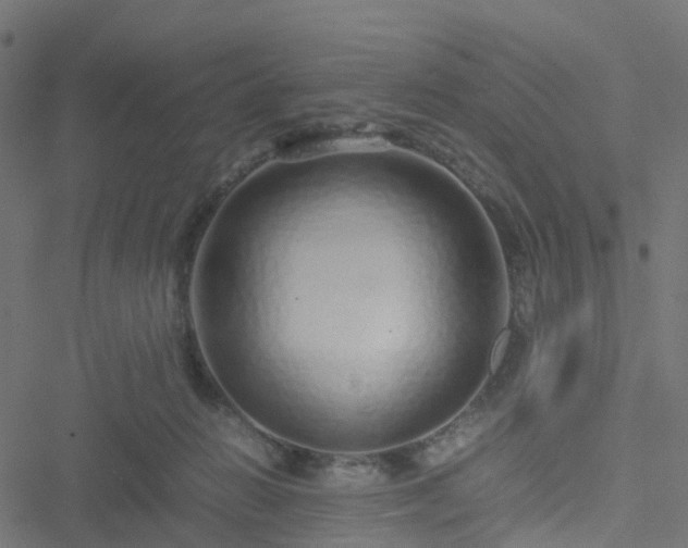 X0000051250270200506241554