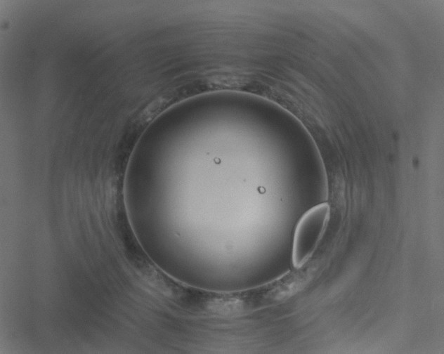 X0000051250271200506241554