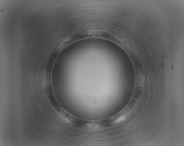 X0000051250272200506241554