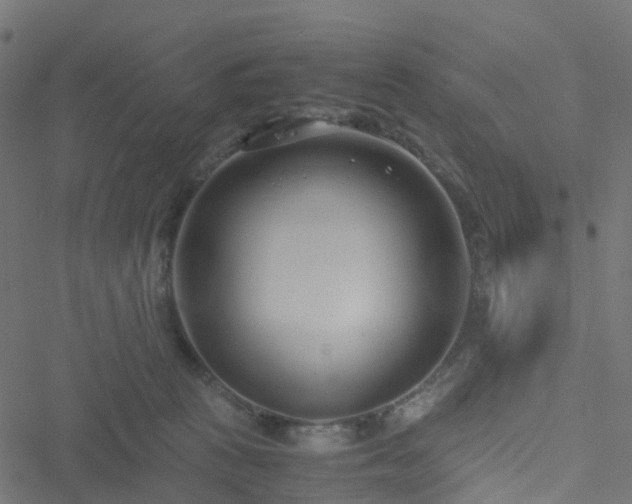 X0000051250273200506241554