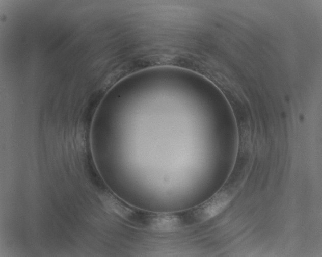 X0000051250274200506241554