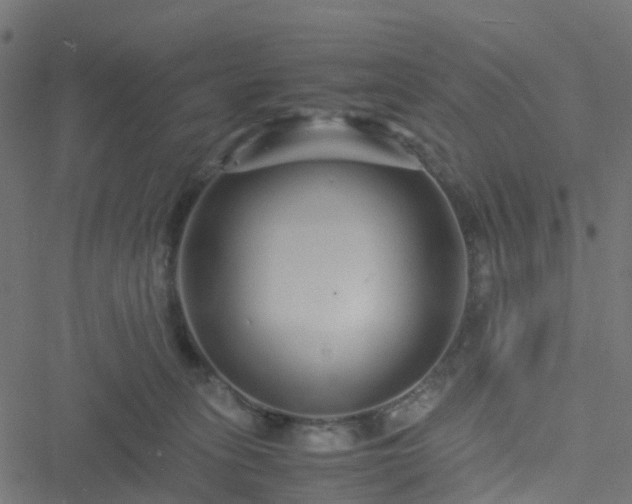 X0000051250275200506241554