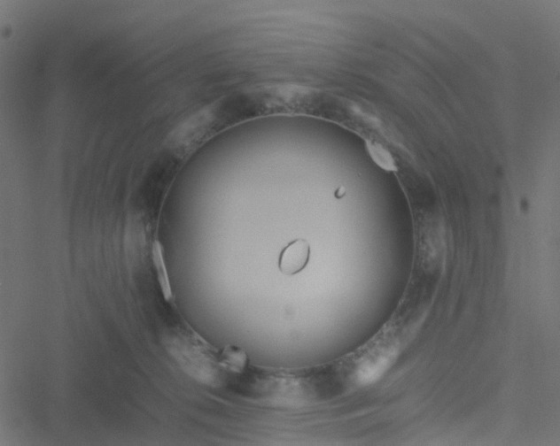 X0000051250276200506241554