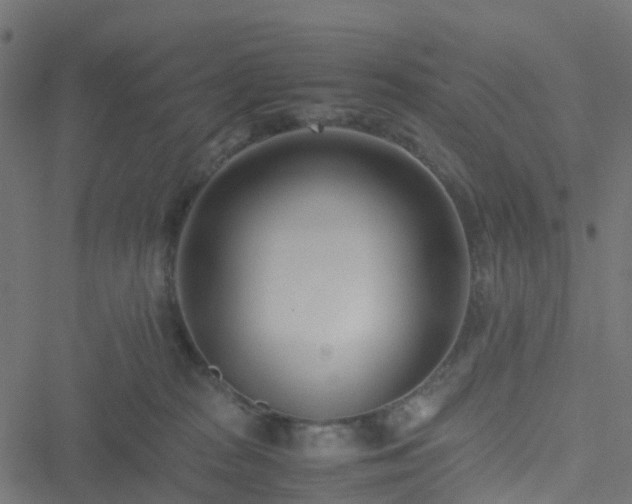 X0000051250277200506241554