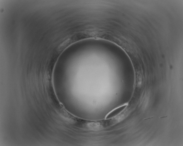 X0000051250279200506241554