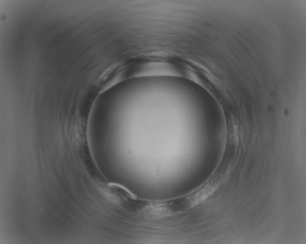 X0000051250280200506241554