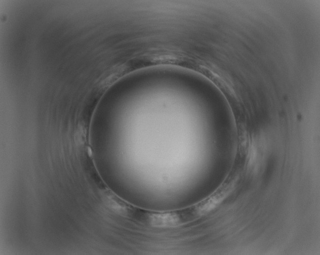 X0000051250281200506241554