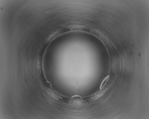 X0000051250282200506241554