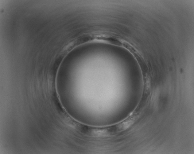 X0000051250283200506241554