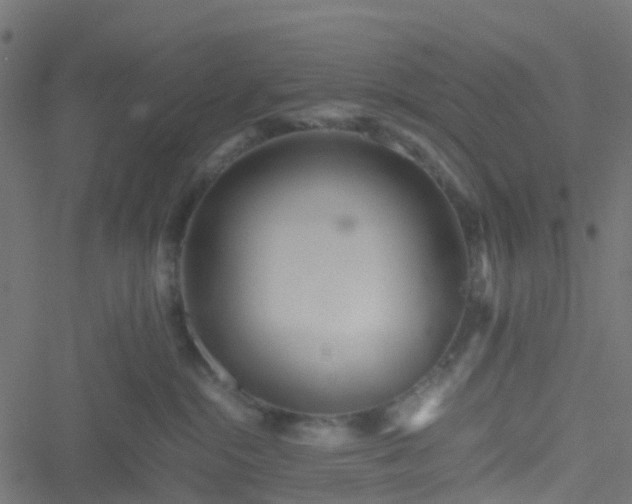 X0000051250284200506241554