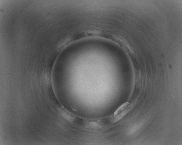 X0000051250285200506241554