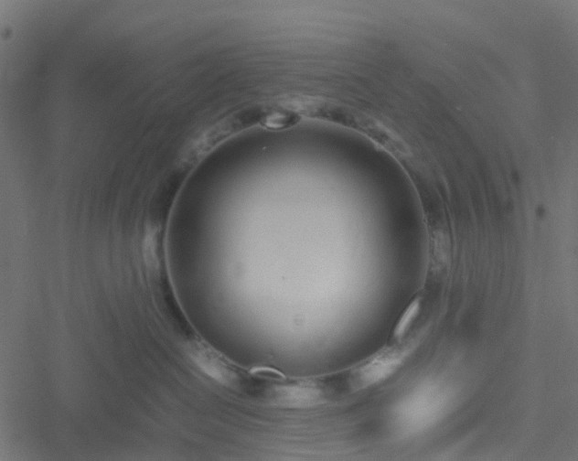 X0000051250286200506241554