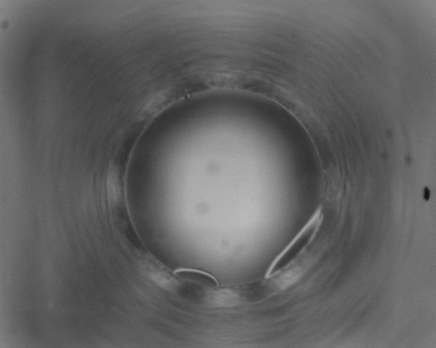 X0000051250287200506241554