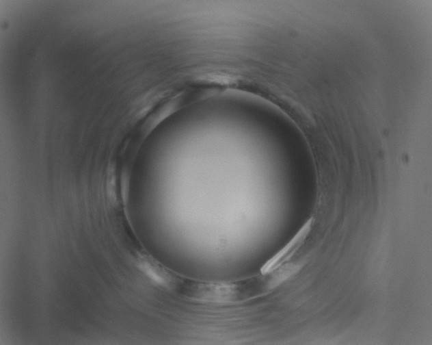 X0000051250288200506241554