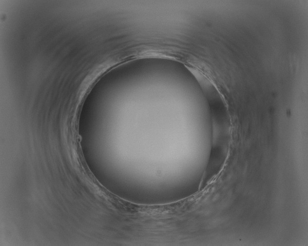 X0000051250289200506241553