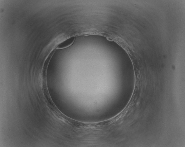 X0000051250290200506241553