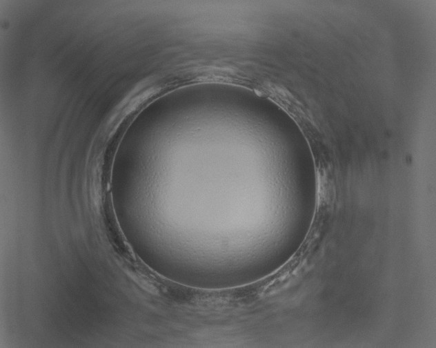 X0000051250291200506241553