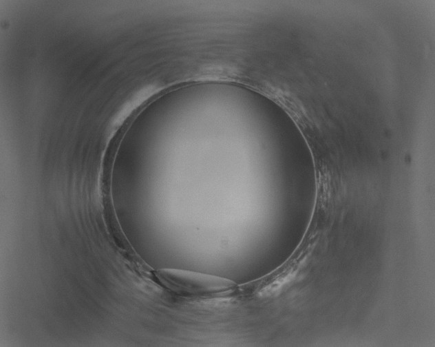 X0000051250292200506241553