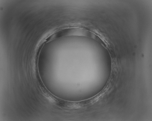 X0000051250293200506241553