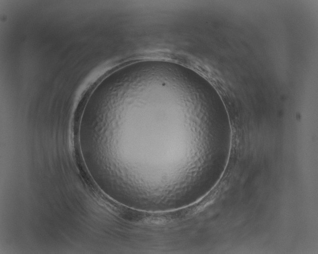 X0000051250294200506241553