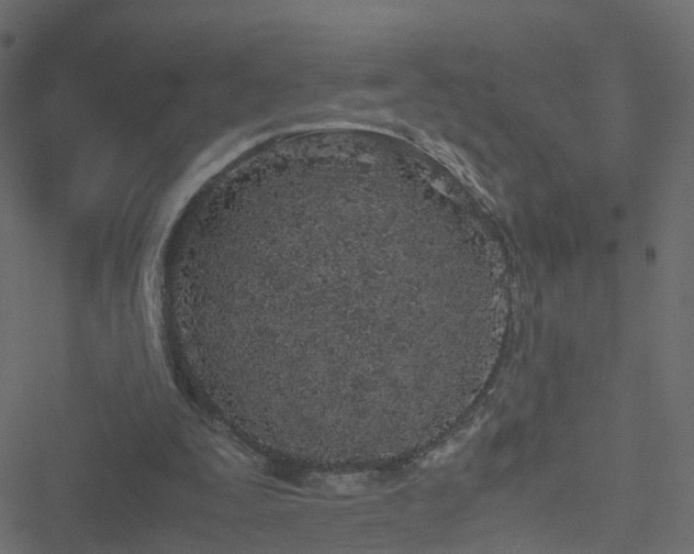 X0000051250295200506241553