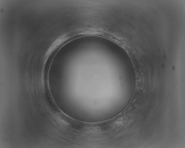 X0000051250296200506241553