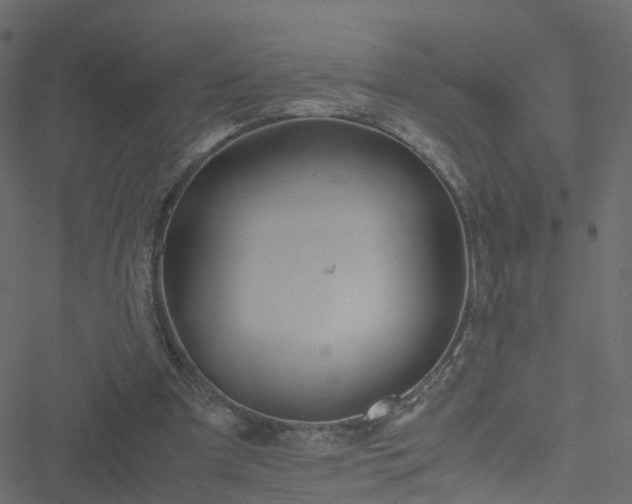 X0000051250297200506241553