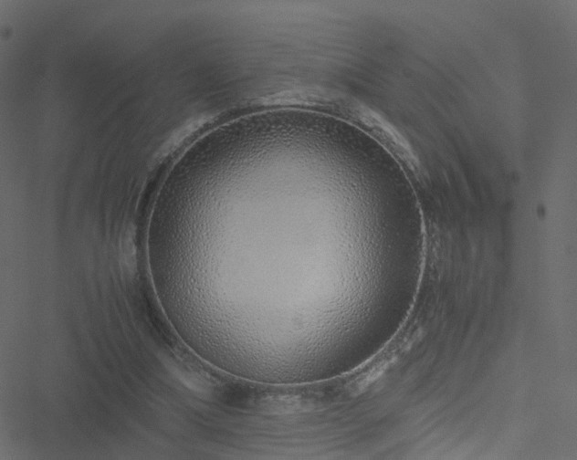 X0000051250298200506241553